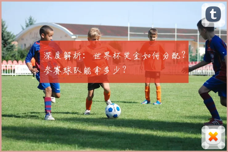 深度解析：世界杯奖金如何分配？参赛球队能拿多少？
